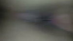 VID 20260505 WA0040