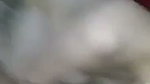 VID 20260505 WA0036