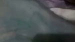 nude vc leaked
