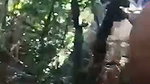 jungle mein kri lund ki sawari