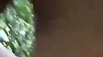 jungle mein kri lund ki sawari