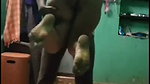 Madurai fun with Bull