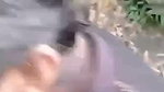 Beautiful girl give Blowjob  Handjob outdoor