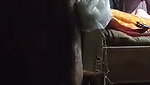 Indian Desi Couple Homemade