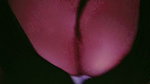 Tango Nitika bhabhi boudi nude bengali