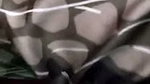 Bangladeshi Horny Couple Fun In Restaurant