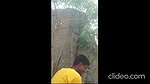 hot village girl sex in  jungle with lover