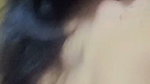 VID 96230131 002113 548