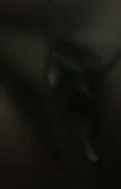 Frame 5