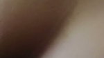 1000249341