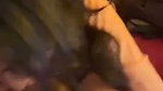 gf en bj di
