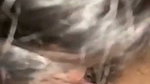 cute gf bj