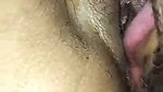 Eating pussy natural sex bangla