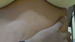 Tamil Wife Riding   Raen