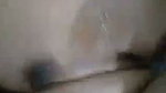 Tamil GF   Dihi 4