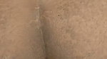 Tamil wife 3   Dihi