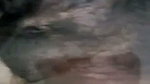 South Indian bhabhi Cam