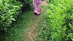 Slim bhabhi showing her ass boob  give Blowjob to lover