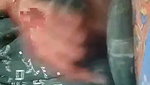 Hot desi chachi inserting brinjal inside her pussy