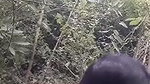 Outdoor assamese devar fucking hard his bhabhi