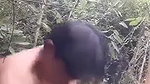 Outdoor assamese devar fucking hard his bhabhi