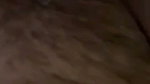 5 6194734732358458831
