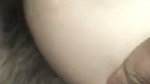 5 6194734732358458833