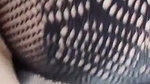 Naasha in netted dress