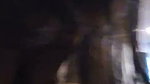 Hot aunty suck cock  riding