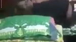 rajakar jamat er amir