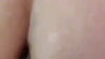 1000118528
