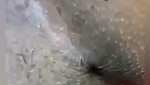Beautiful girl show her boobs  pussy
