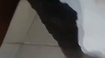 Sexy girl undress  showing hot nude body