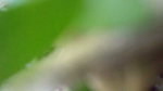 Uncle fingering aunty pussy  fuck Outdoor