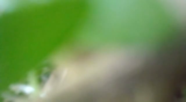 Frame 9