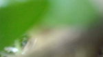 Uncle fingering aunty pussy  fuck Outdoor