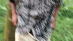 Bihari Caught