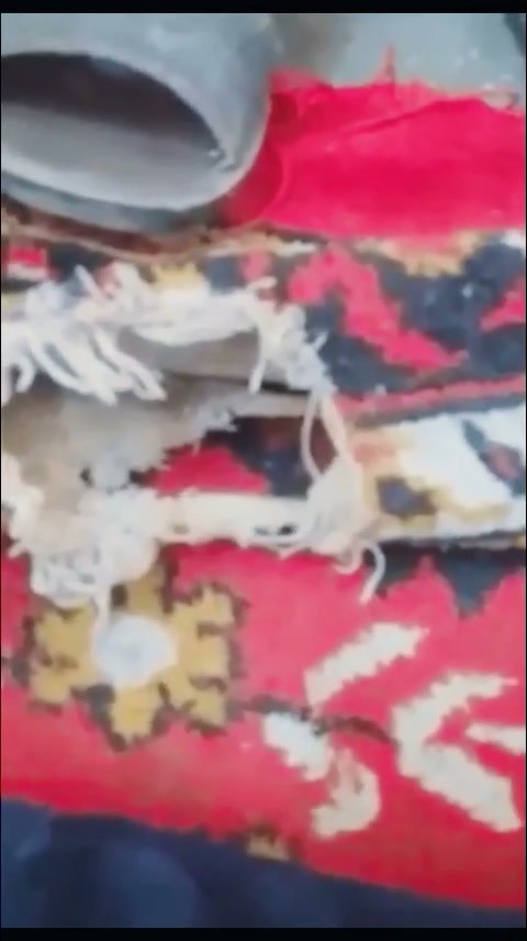 Frame 6