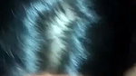 VID 20211229 WA0104