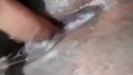 Bihari girl nude dance and masterbating on videocall