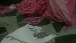 Indian Wife Changing Dress Show On Live