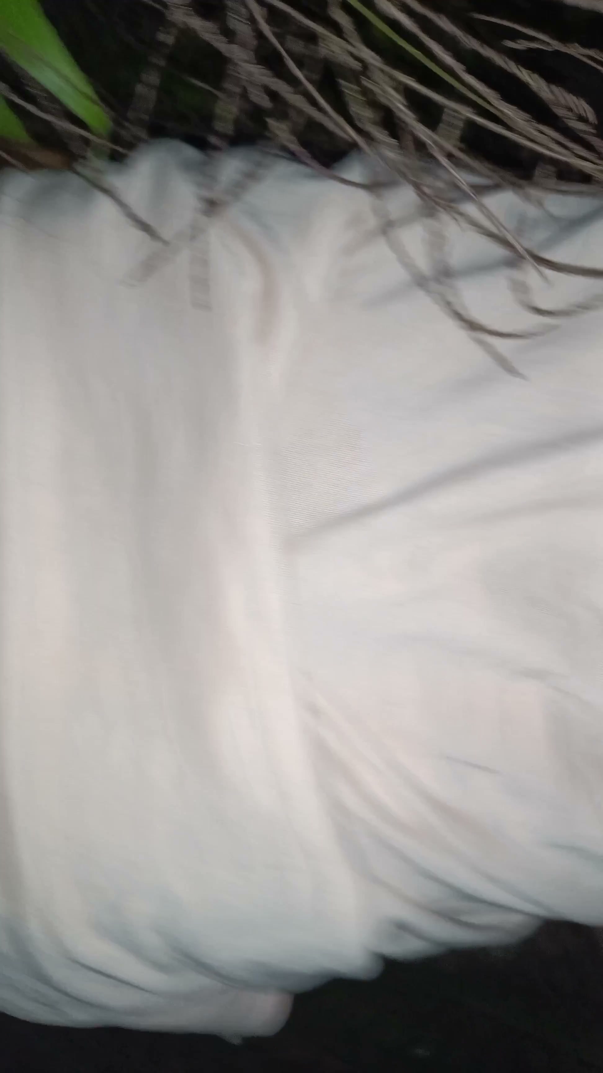 Frame 3