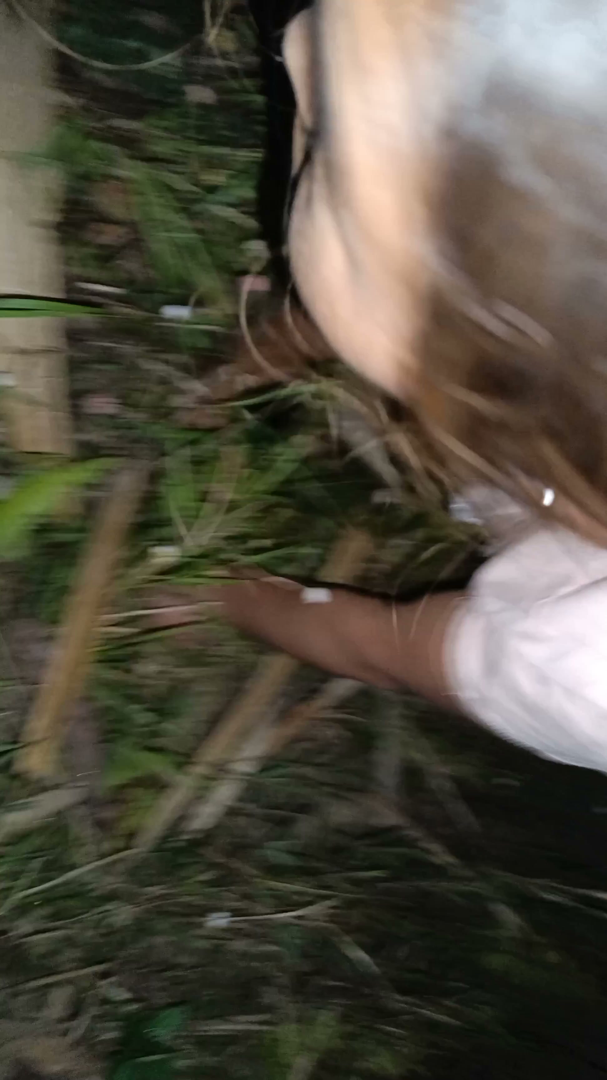 Frame 5