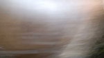 1000069221