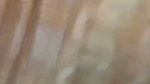 Desi Girl Fucked By Boyfriend    2 Part 2