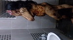 Beautiful wife taking shower  showing