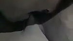 Husband suck boob  fuck her