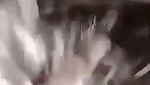 1000069282