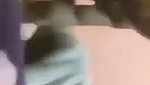 Horny girlfriend fucking hard in Doggy position on bed