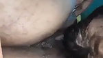 Husband putting honey on pussy  licking